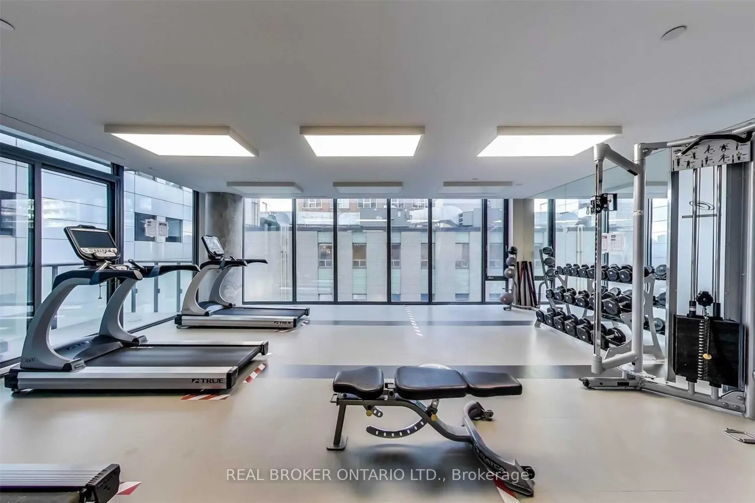 Additional image 11 of 101 Peter Street 515