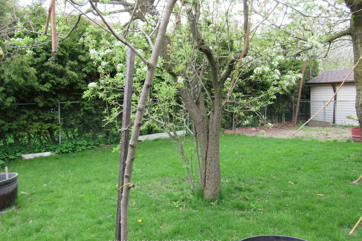 Additional image 19 of 8 Newlove Court
