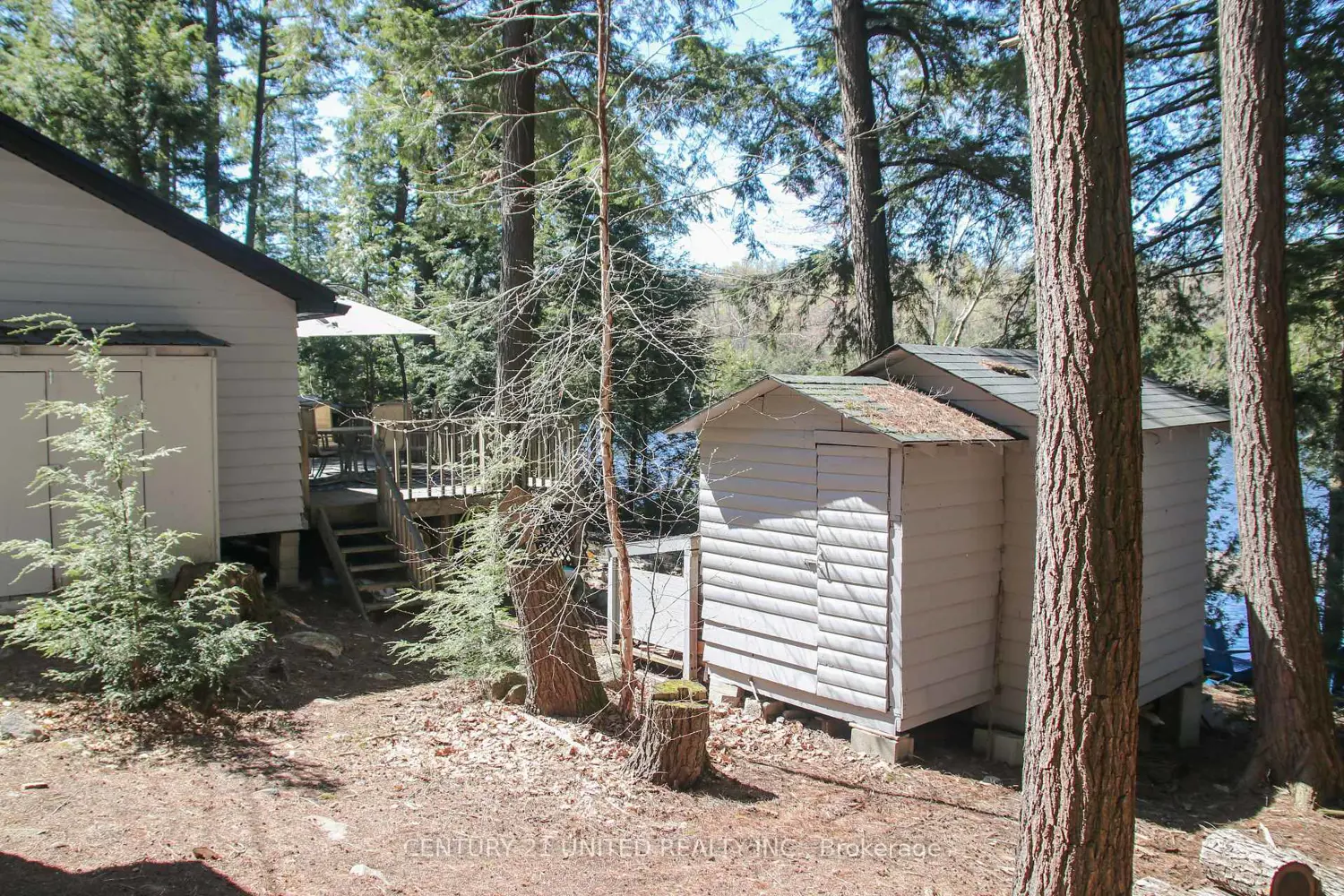 Additional image 12 of 812 Island 8 Catchacoma Lake