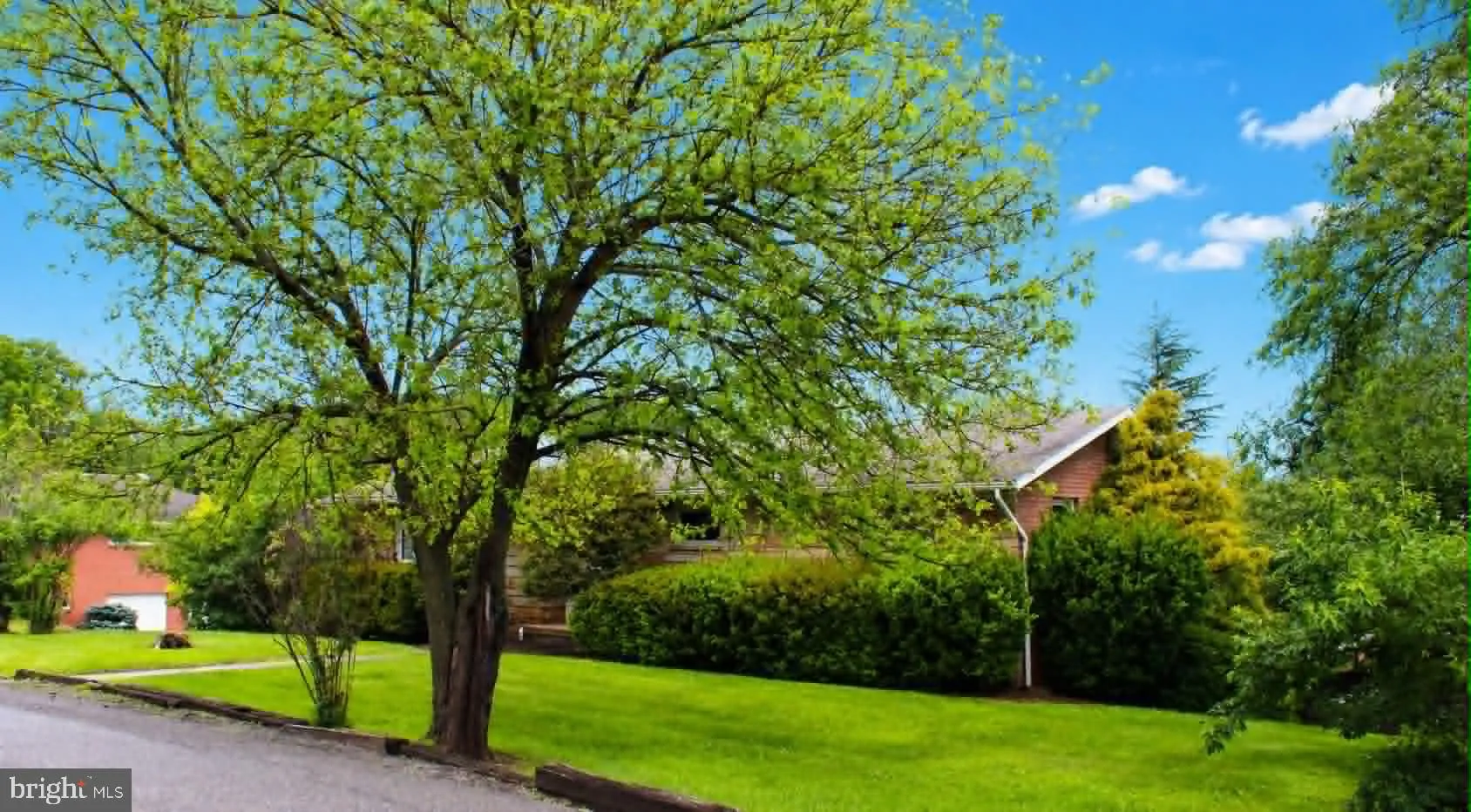 Additional image 117 of 14804 Bell Street, Cresaptown, MD 21502