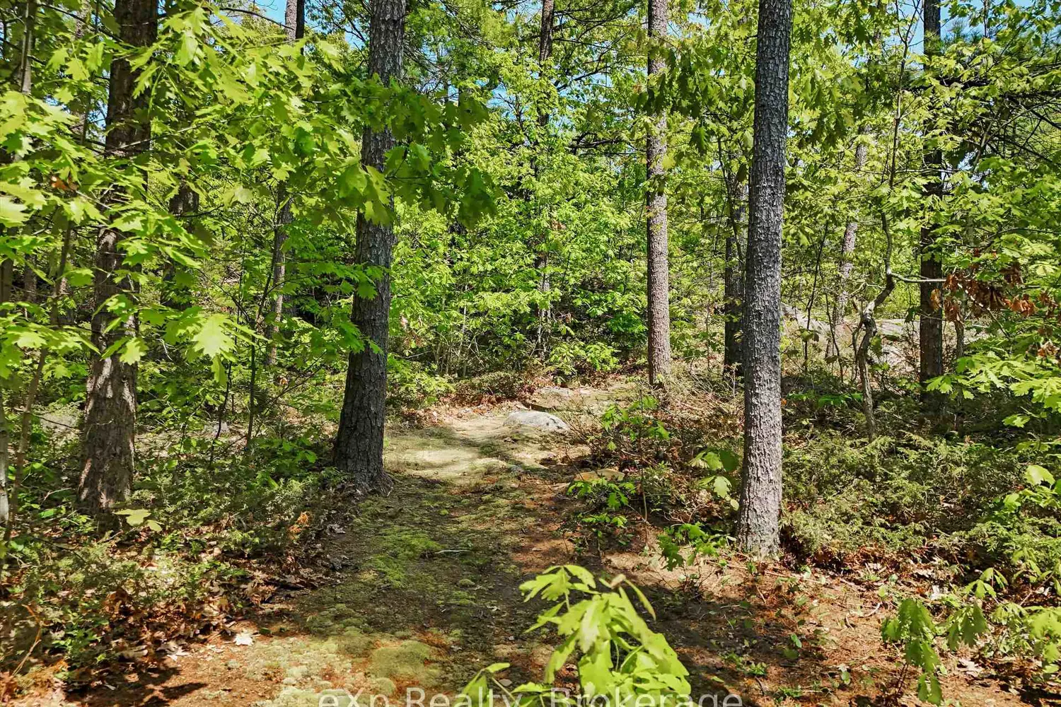 Additional image 7 of 6646 1040Littlebeausoleil Island