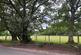 Additional image 22 of Hale, Fordingbridge, Hampshire, SP6