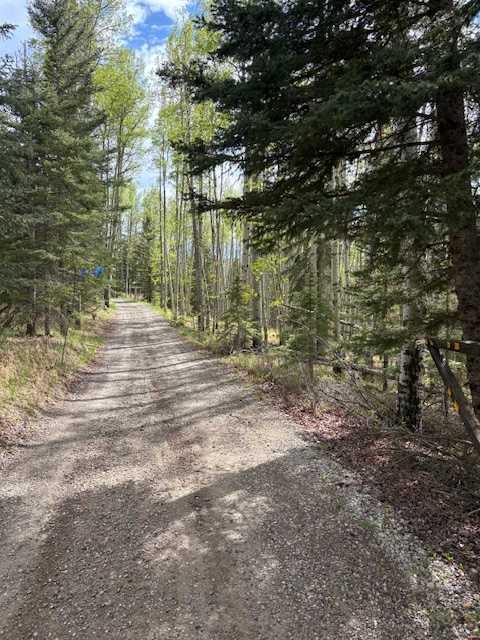 Additional image 4 of 28-5413 Highway 579 , Rural Mountain View County, AB, T0M 2E0