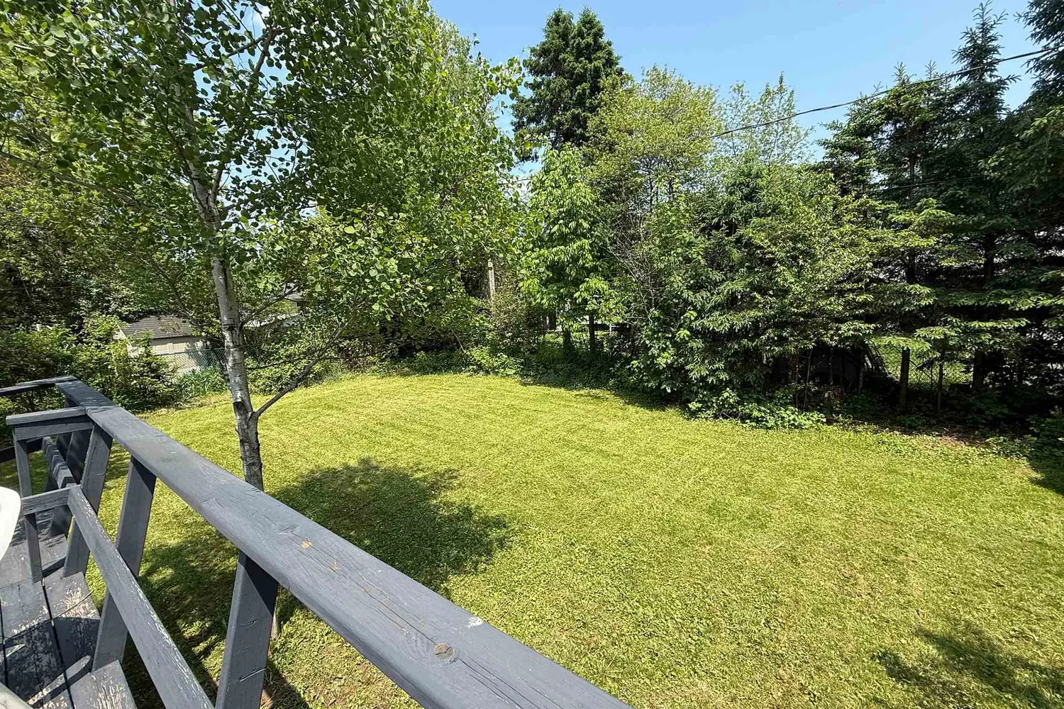 Additional image 13 of 45 Larch Street