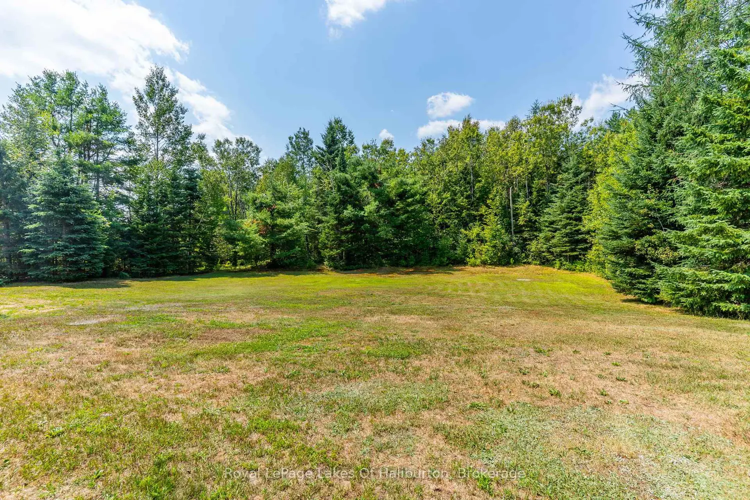 1030 Sawdust Road