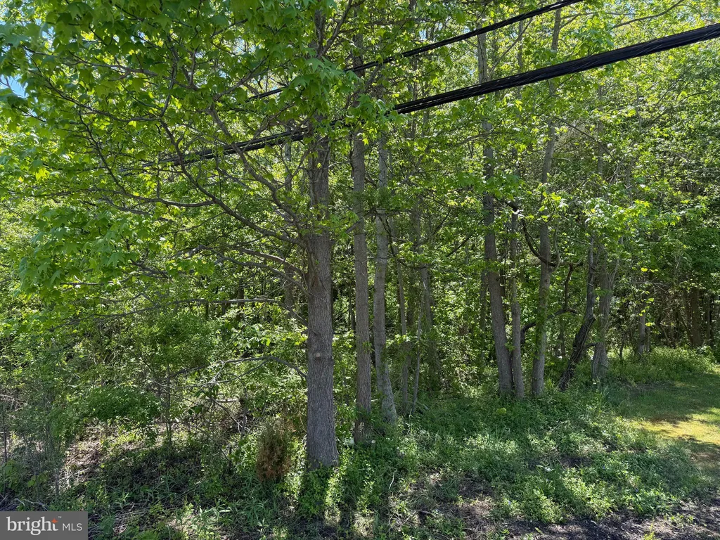 Additional image 3 of 6386 Summit Bridge Road, Townsend, DE 19734