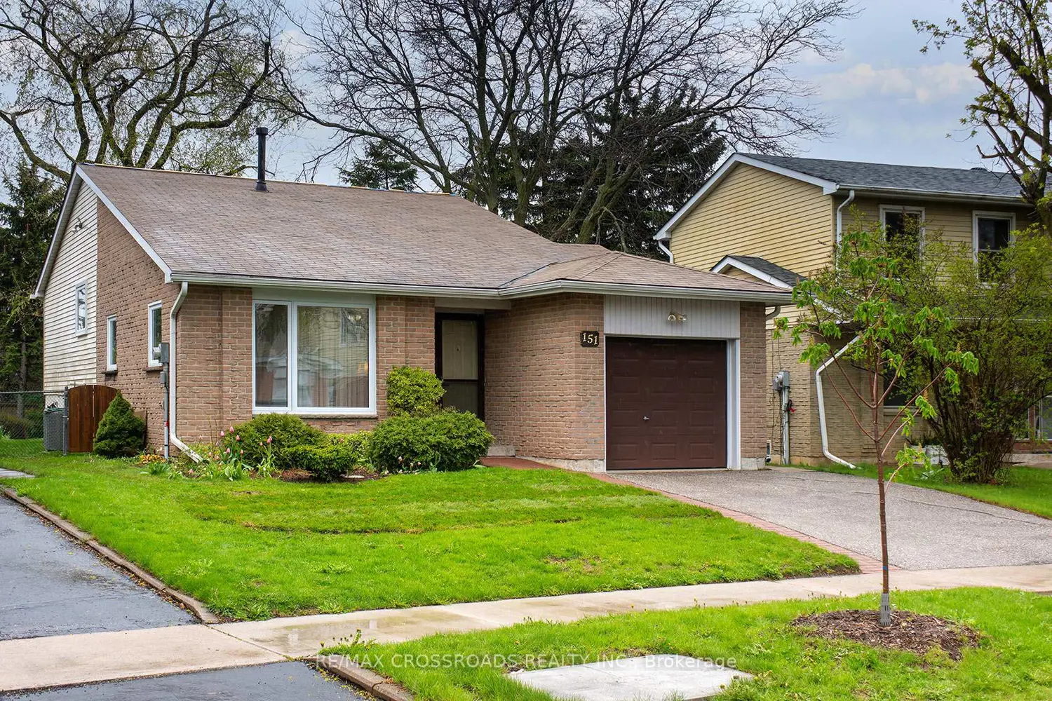 151 Goldhawk Trail photo 3