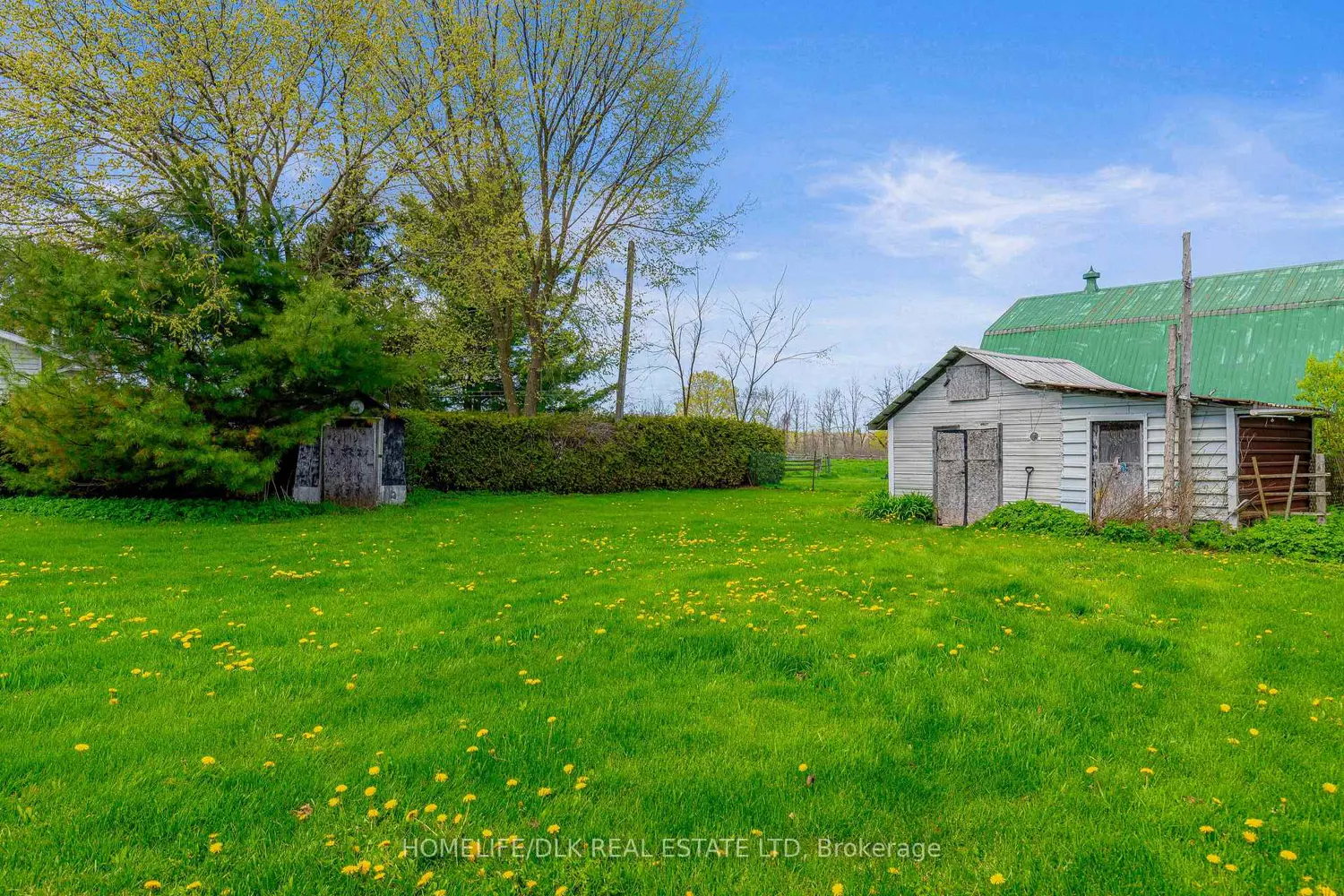 7136 County 42 Road photo 4