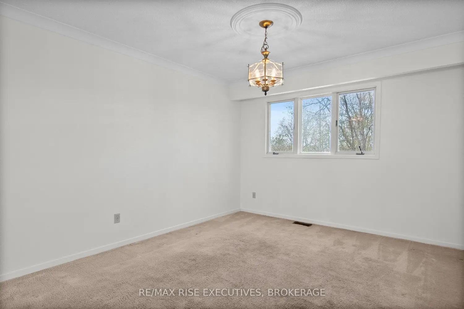 Additional image 4 of 899 Safari Drive