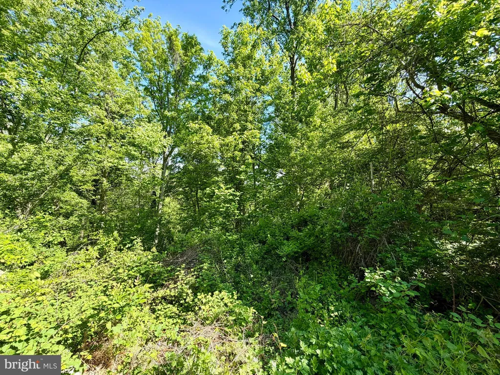 Additional image 6 of 1220 Gloria Avenue, Linthicum Heights, MD 21090