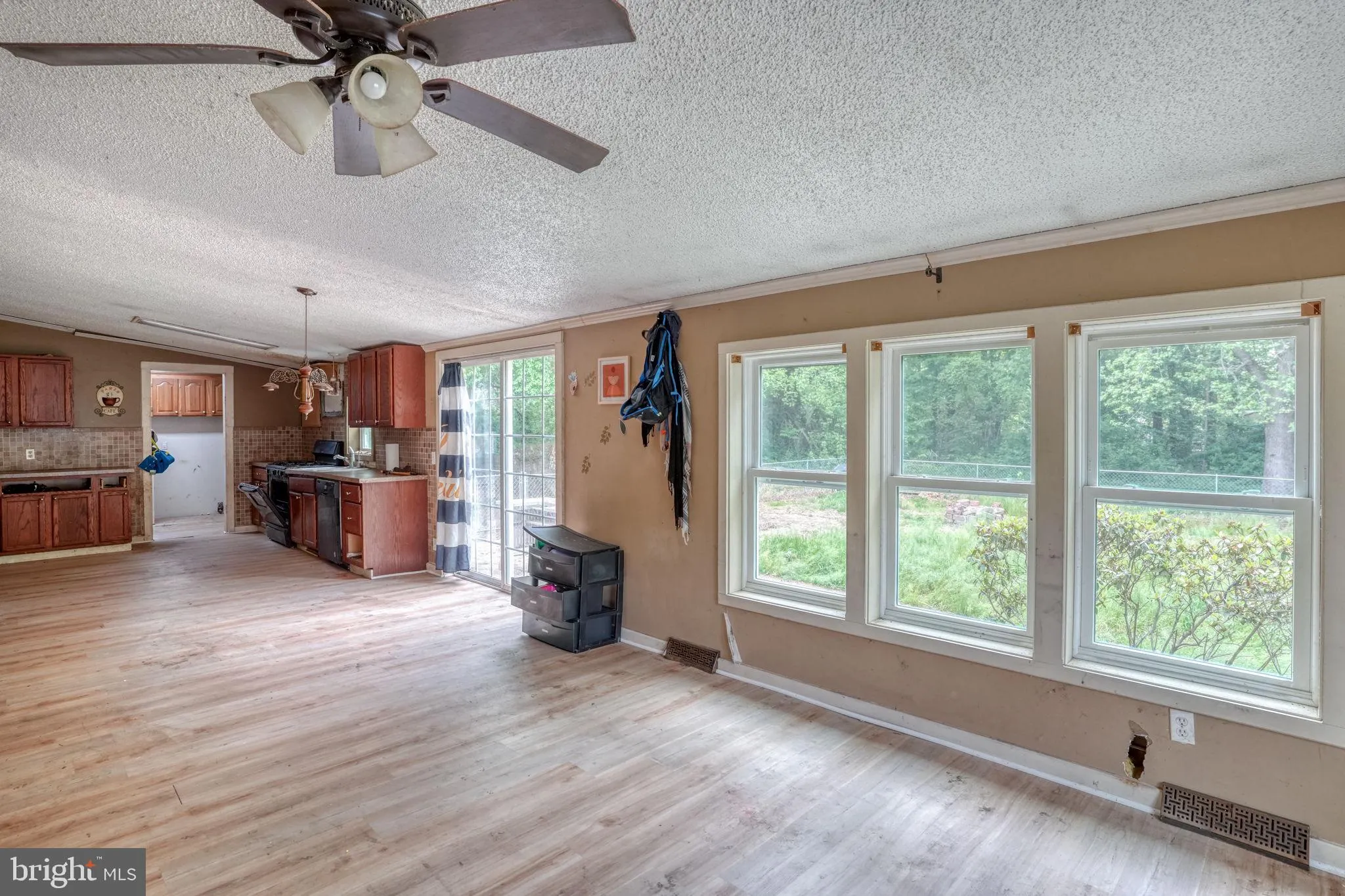 Additional image 77 of 28 E Pine St, Frederica, DE 19946