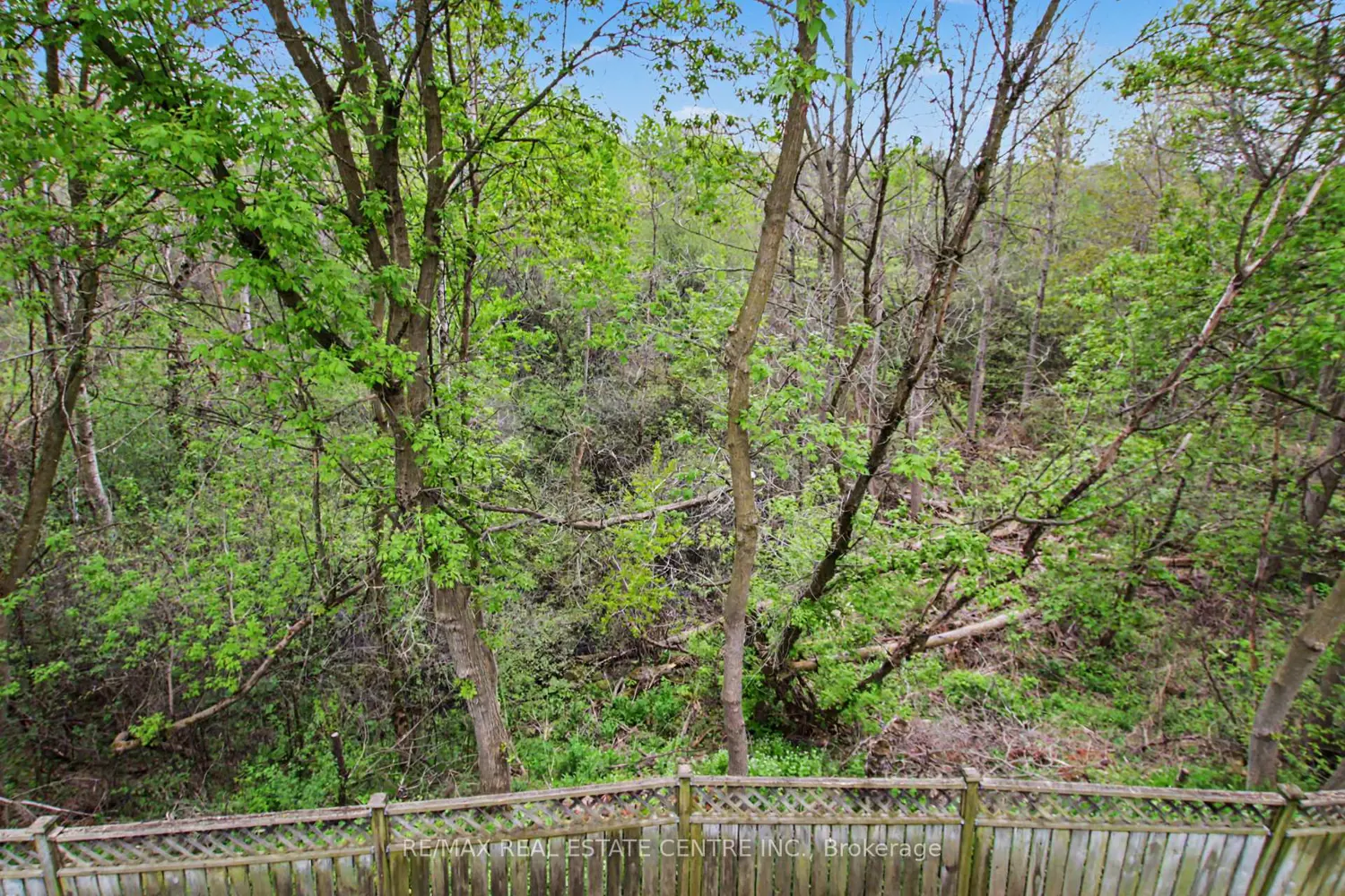 Additional image 15 of 183 Taylor Avenue