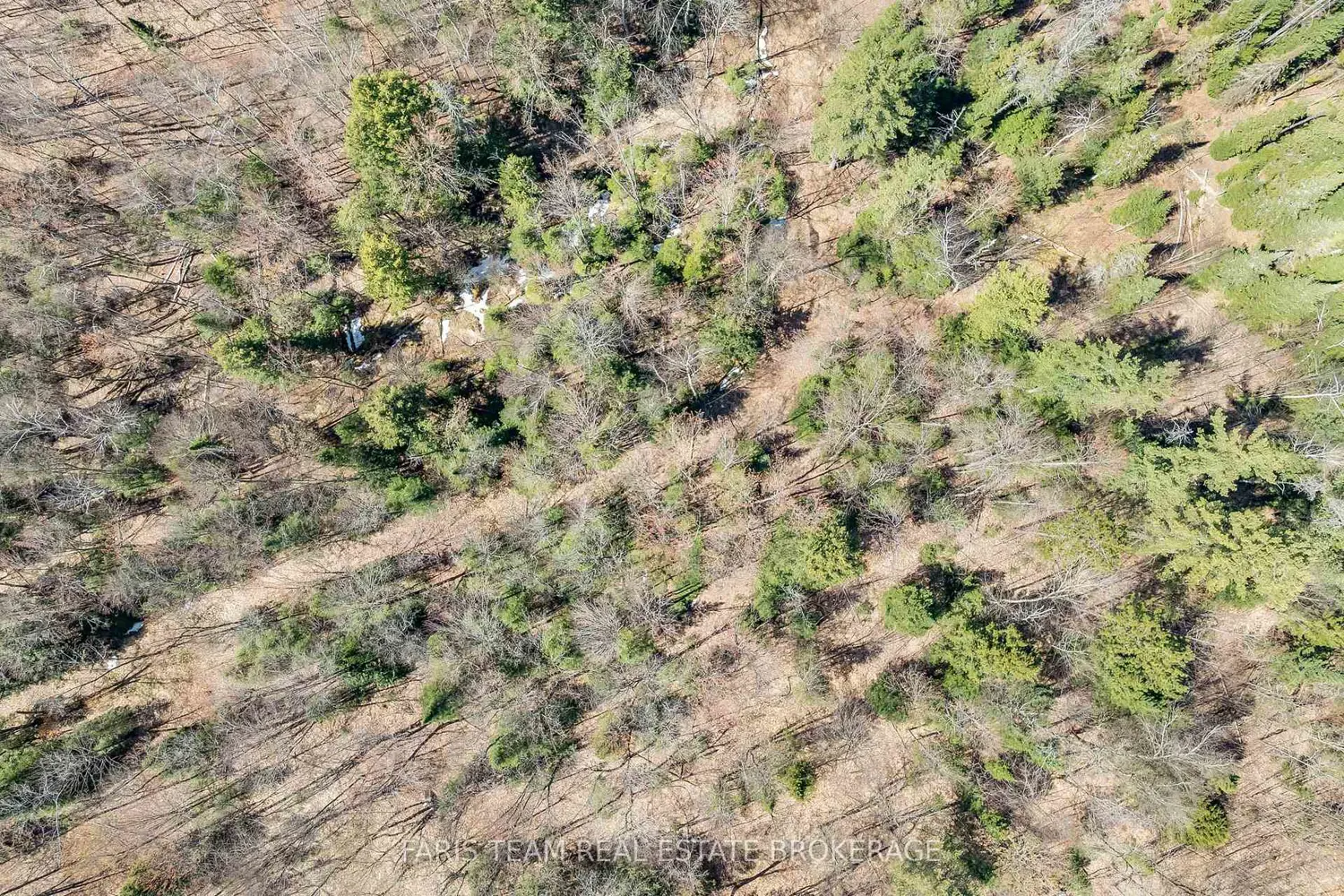 Additional image 13 of 2180-2186 Highway 141