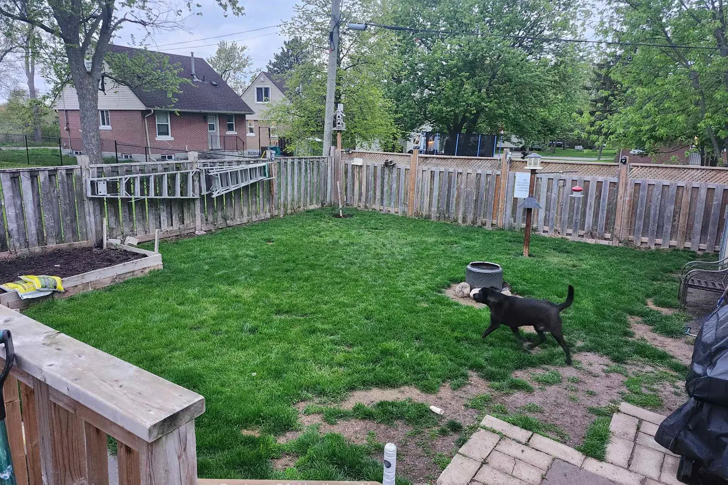 Additional image 13 of 360 Emerick Avenue
