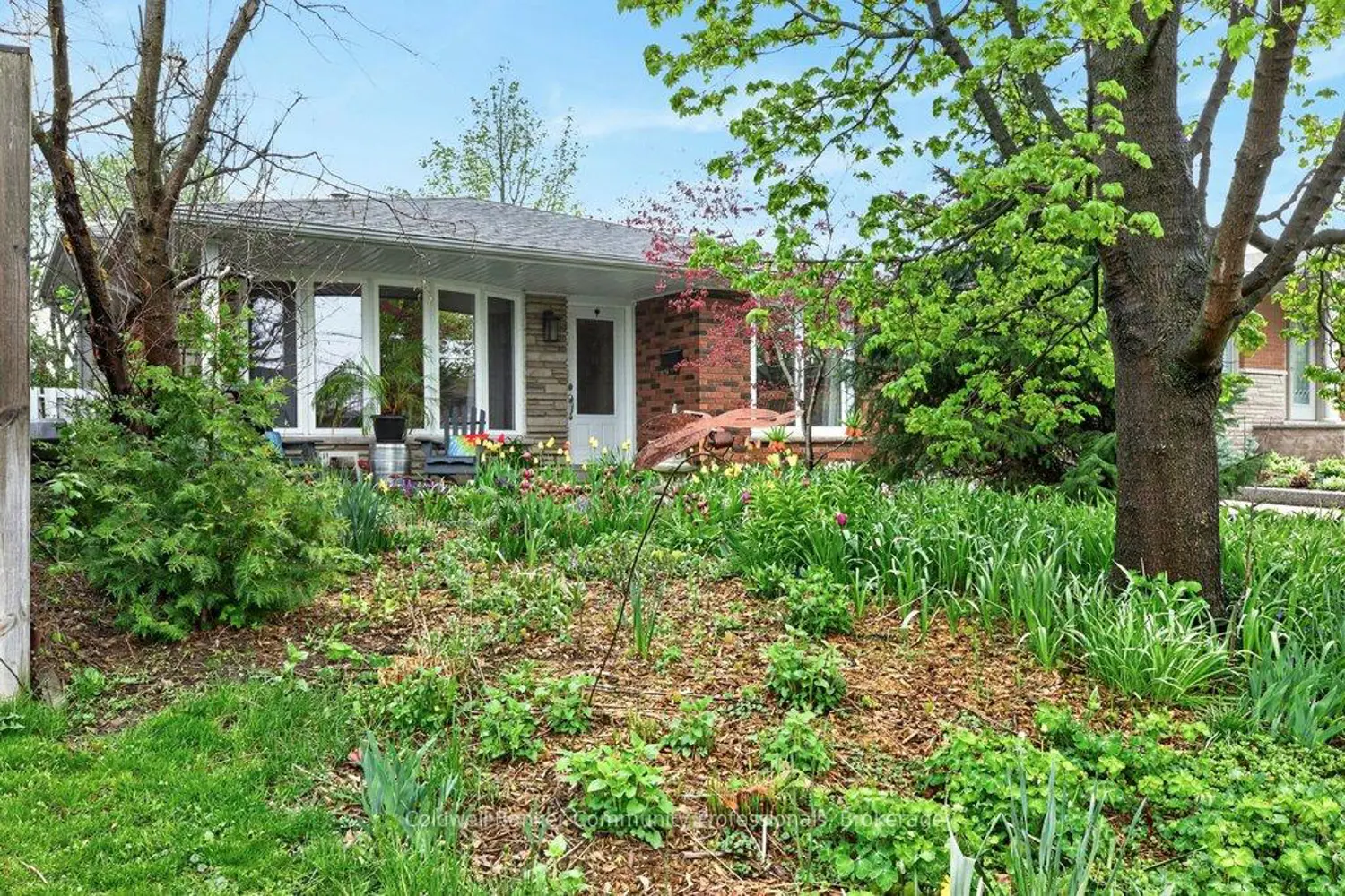 161 Manning Avenue