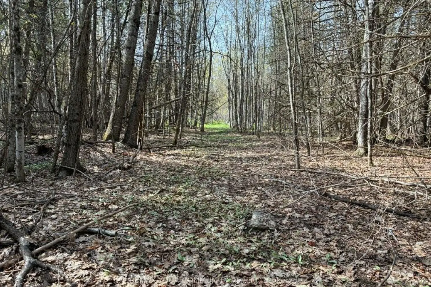 Additional image 10 of Pt Lot 20 Bessie Avenue