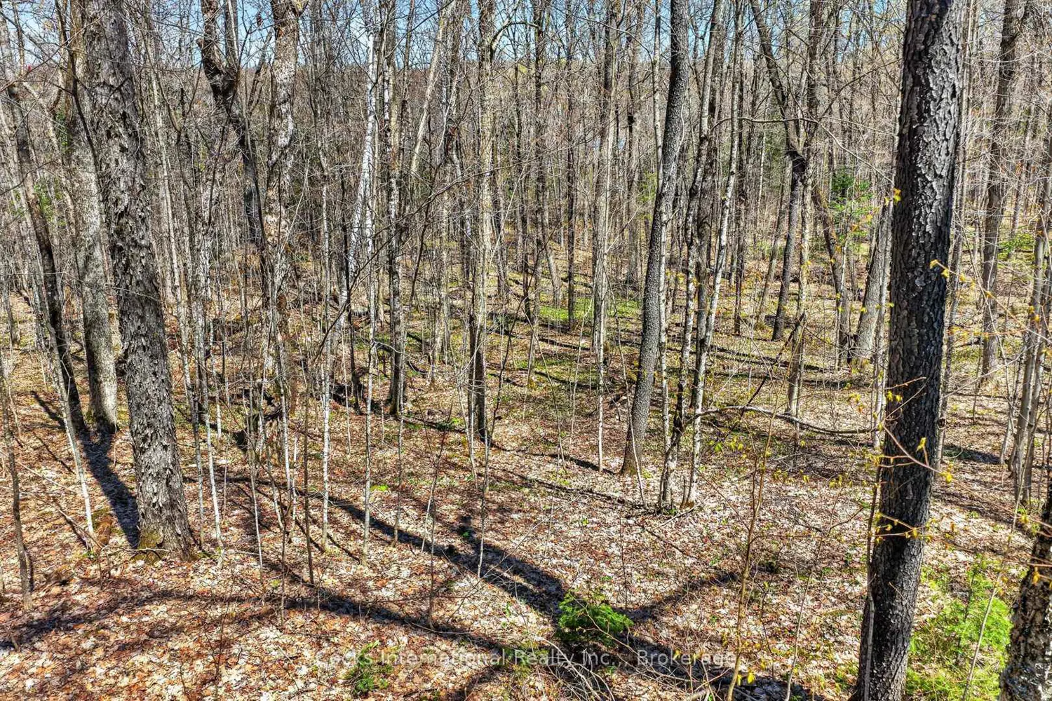Additional image 8 of 1165 Spring Lake Road