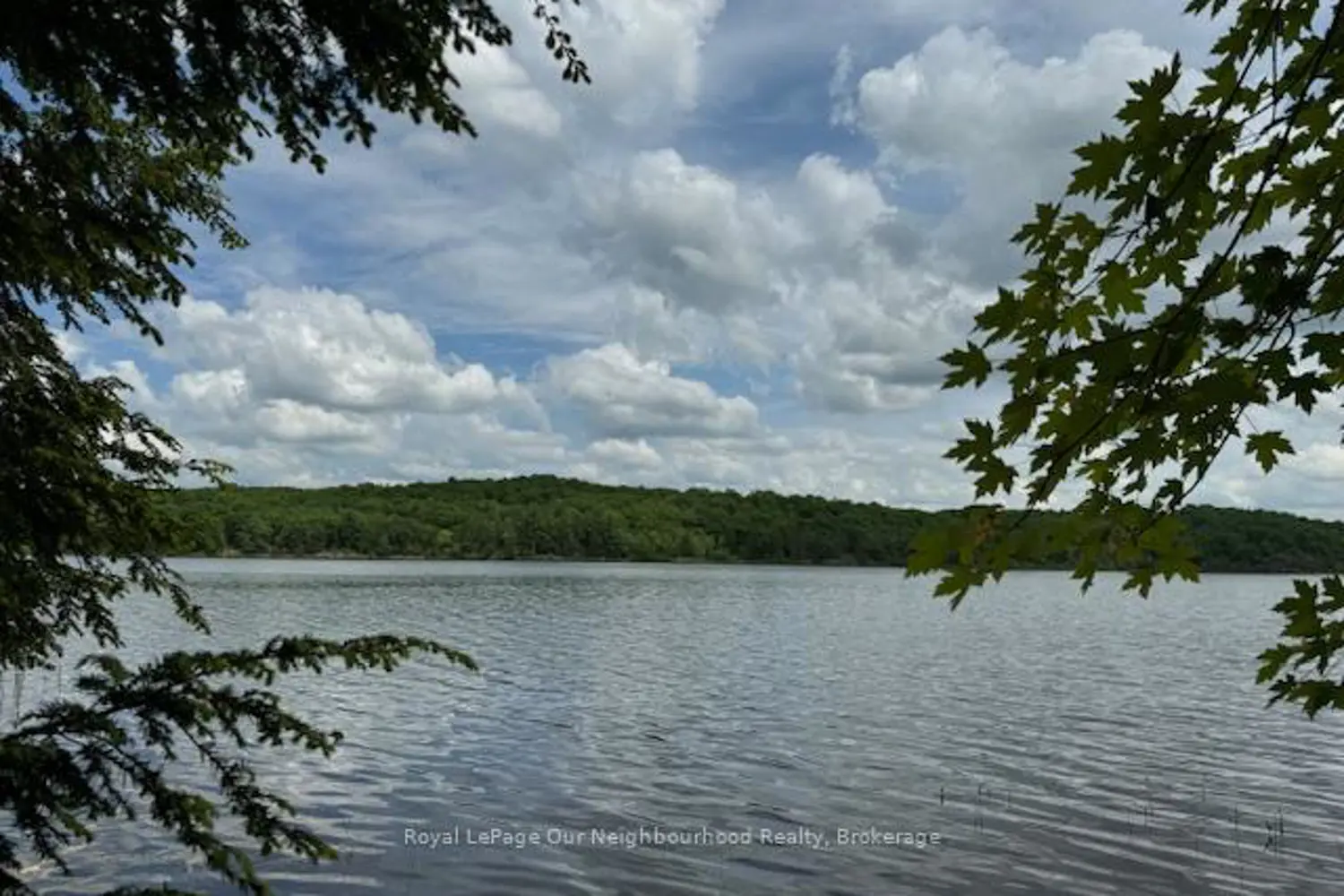 Additional image 16 of 277 Lake Tangamong West Shore Landing