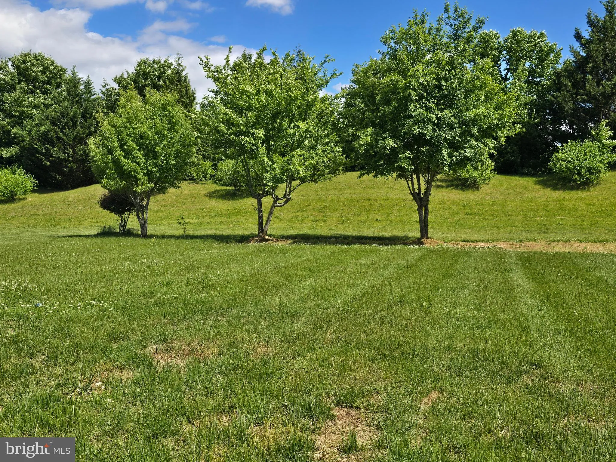Additional image 167 of 173 Heartleaf Lane, Magnolia, DE 19962