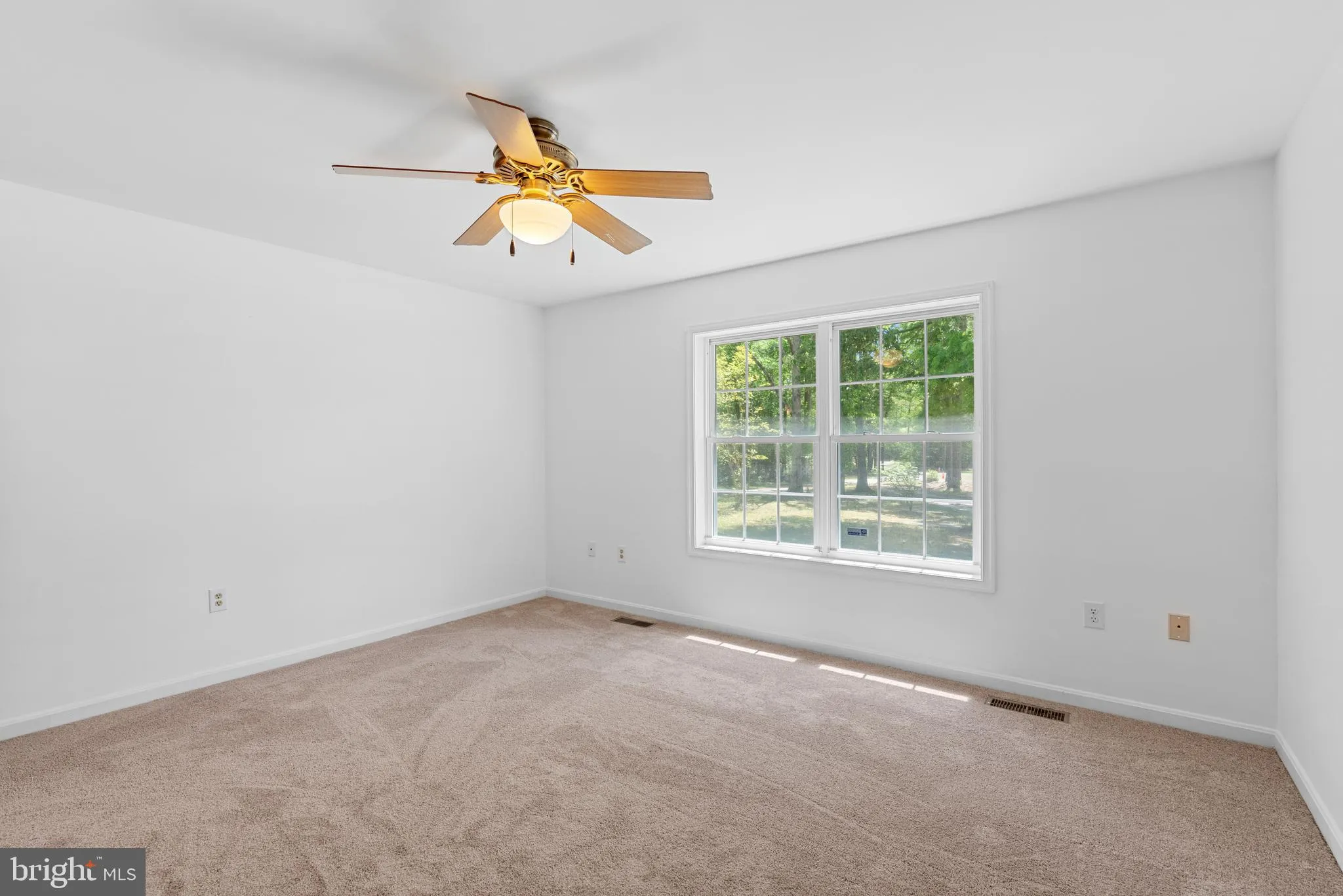 Additional image 78 of 25509 Guinea Hollow Road, Millsboro, DE 19966