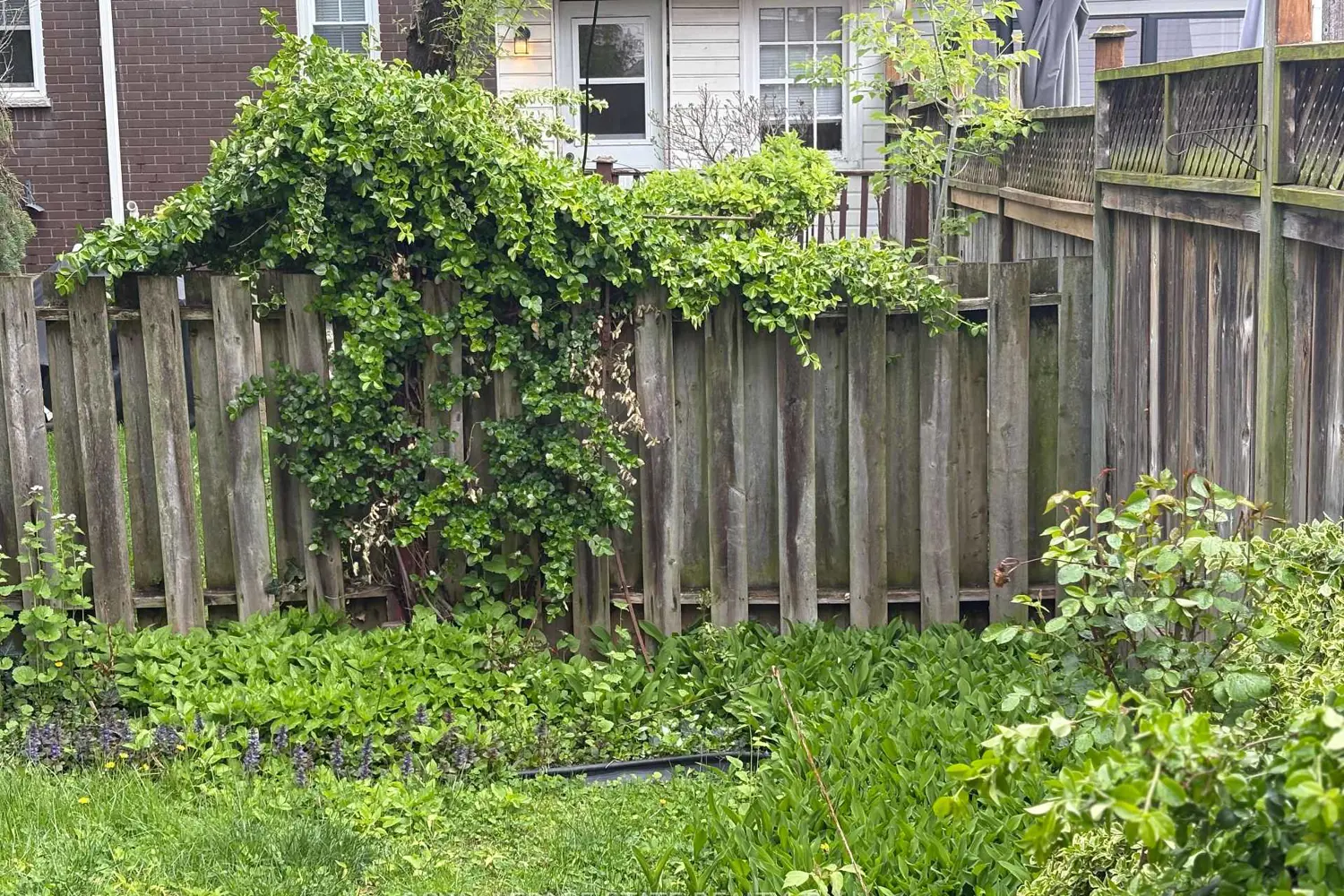 Additional image 7 of 2379 Maryvale Court