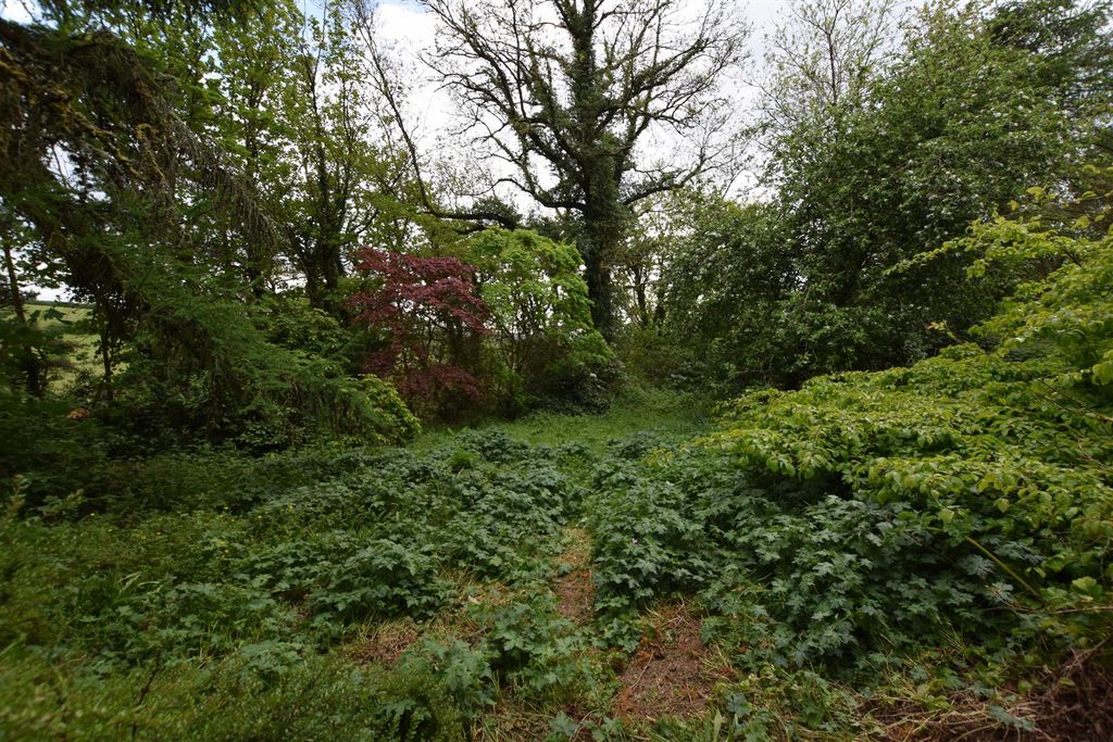 Additional image 34 of Land for saleGlanrhyd, Cardigan SA43