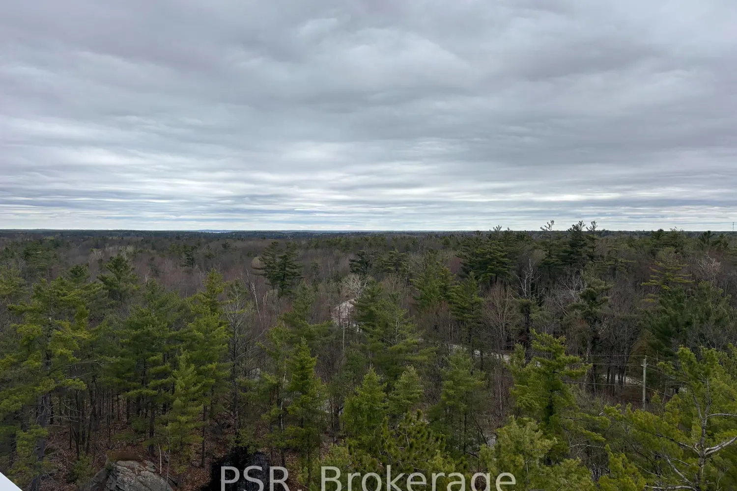 Additional image 2 of 100 Carrick Trail 612