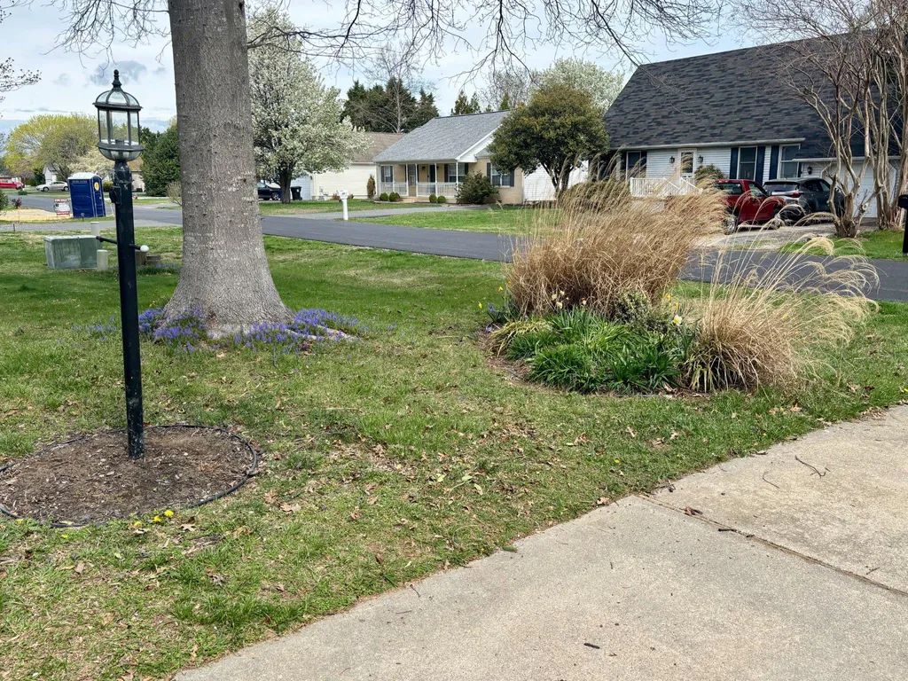 16 Colgate Drive, Rehoboth Beach, DE 19971 photo 3