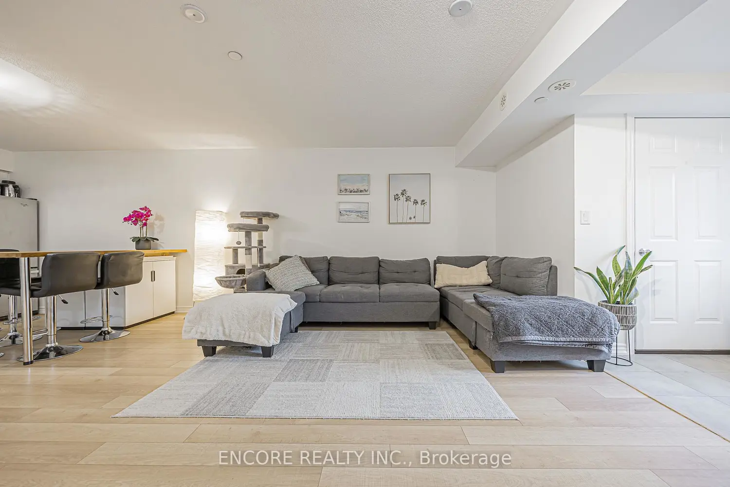 10 Carnation Avenue 8 photo 4
