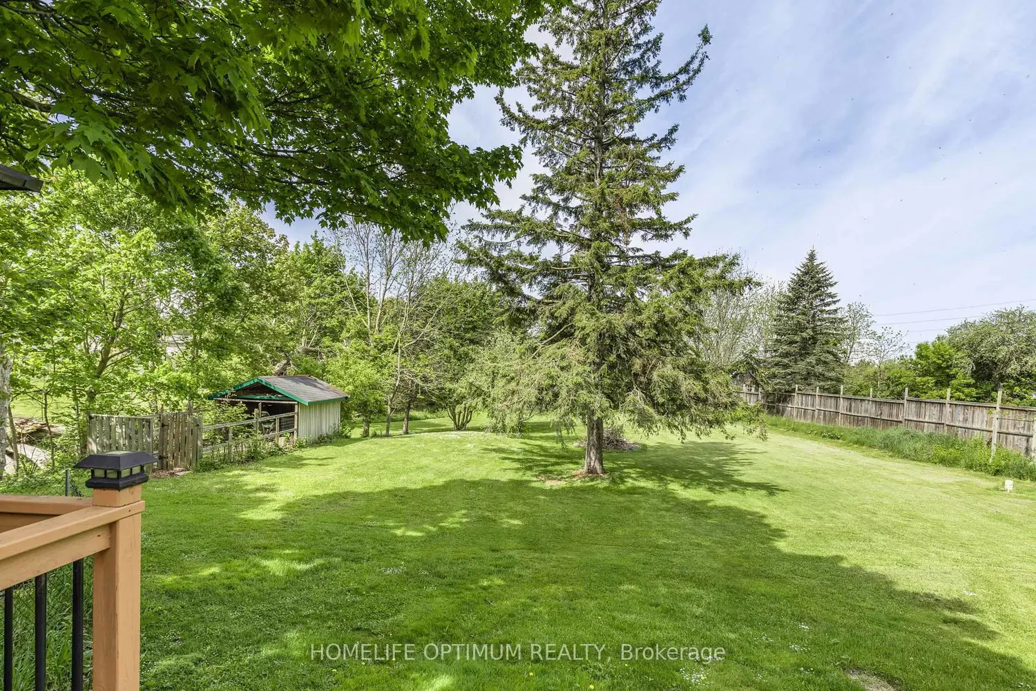 Additional image 7 of 209 Barrie Street