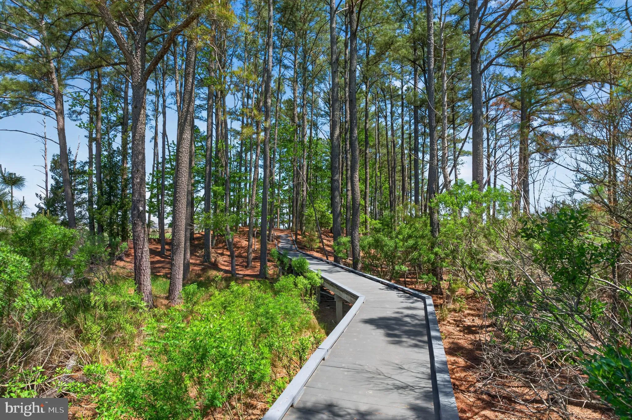 Additional image 140 of 37367 Backfin Court, Ocean View, DE 19970
