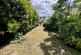 St Catherine Street, Carmarthen , photo 2