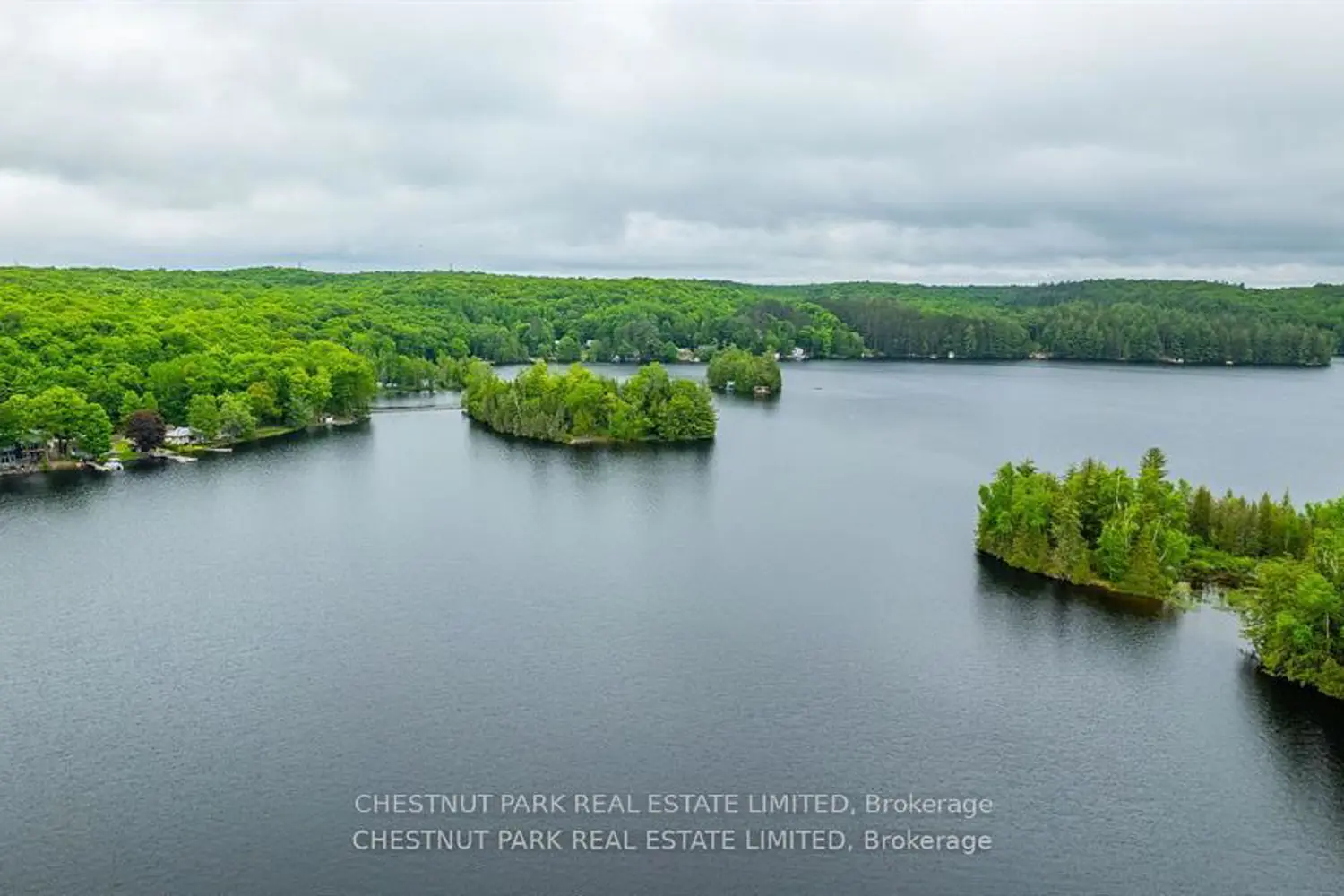Additional image 19 of 1601 Claude Brown Road