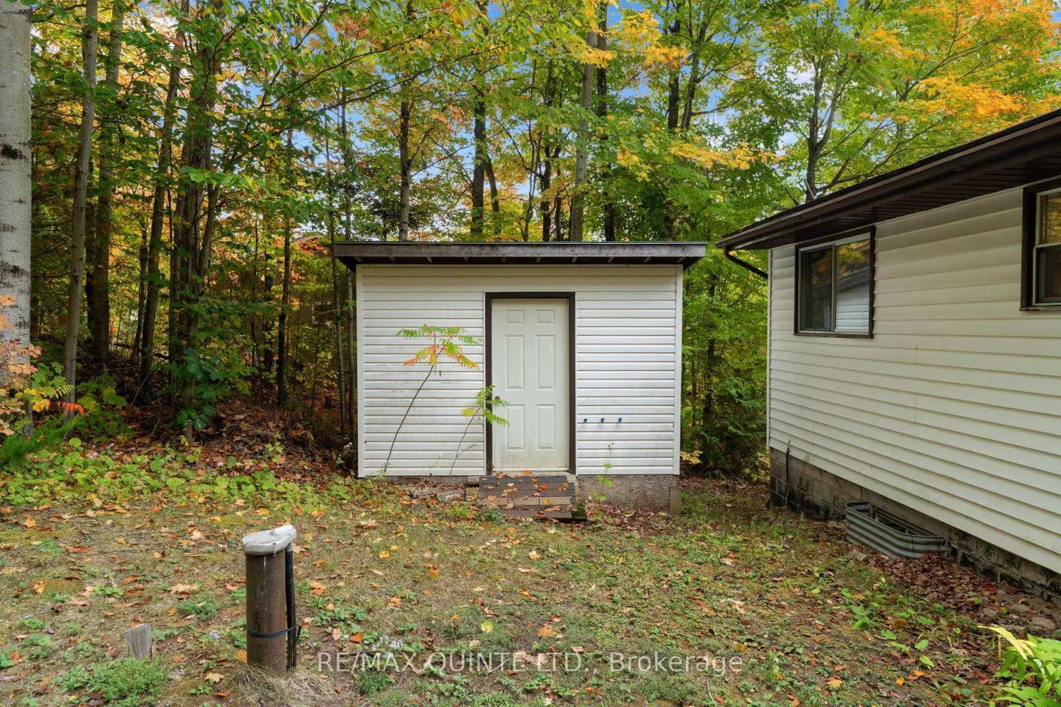 Additional image 14 of 538 Skene Road