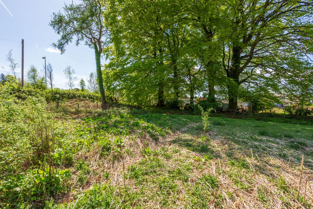 Additional image 10 of Land for saleBeeswing, Dumfries DG2