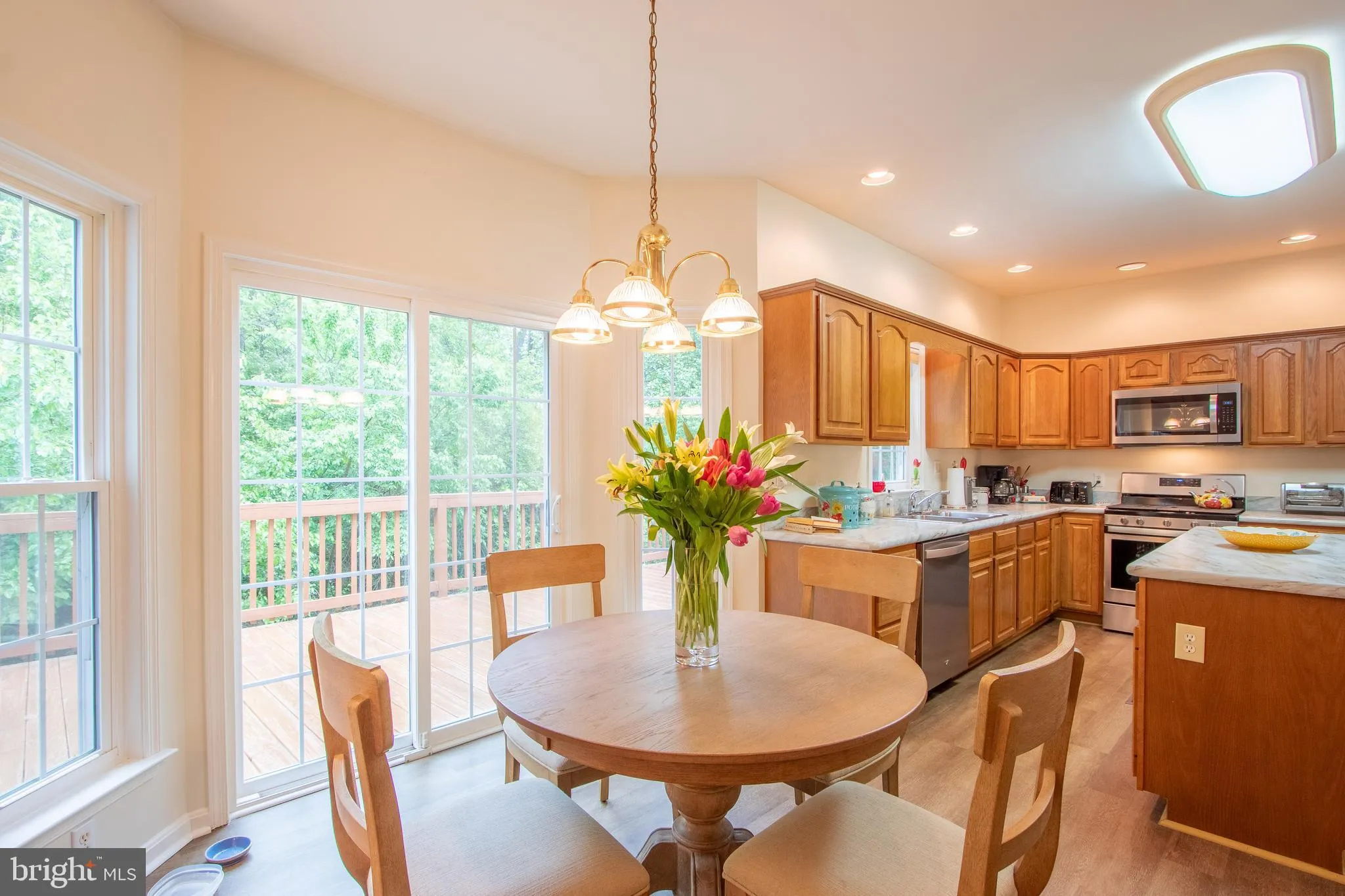 Additional image 47 of 7 Lesh Court, Middletown, DE 19709