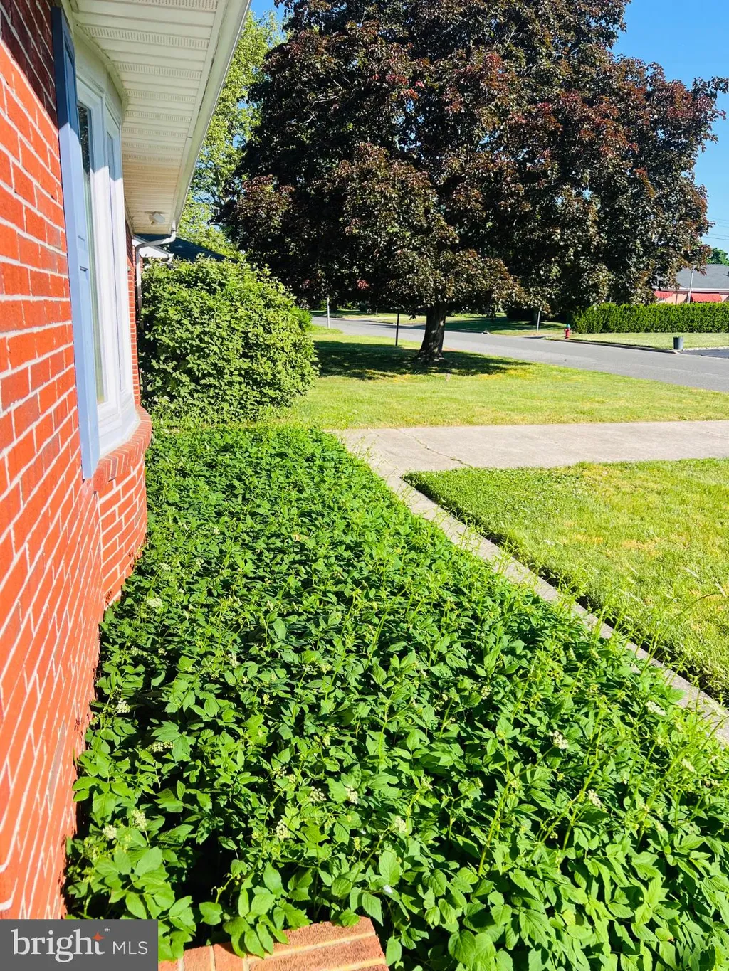 Additional image 30 of 321 Tyler Lane, Smyrna, DE 19977