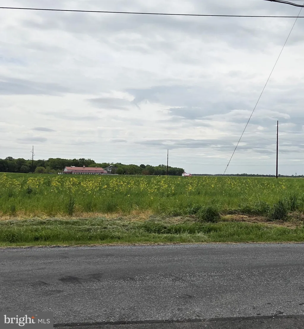 Pickering Beach Road, Dover, DE 19901
