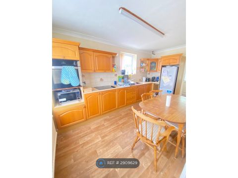 Ivory Road, Norwich NR4