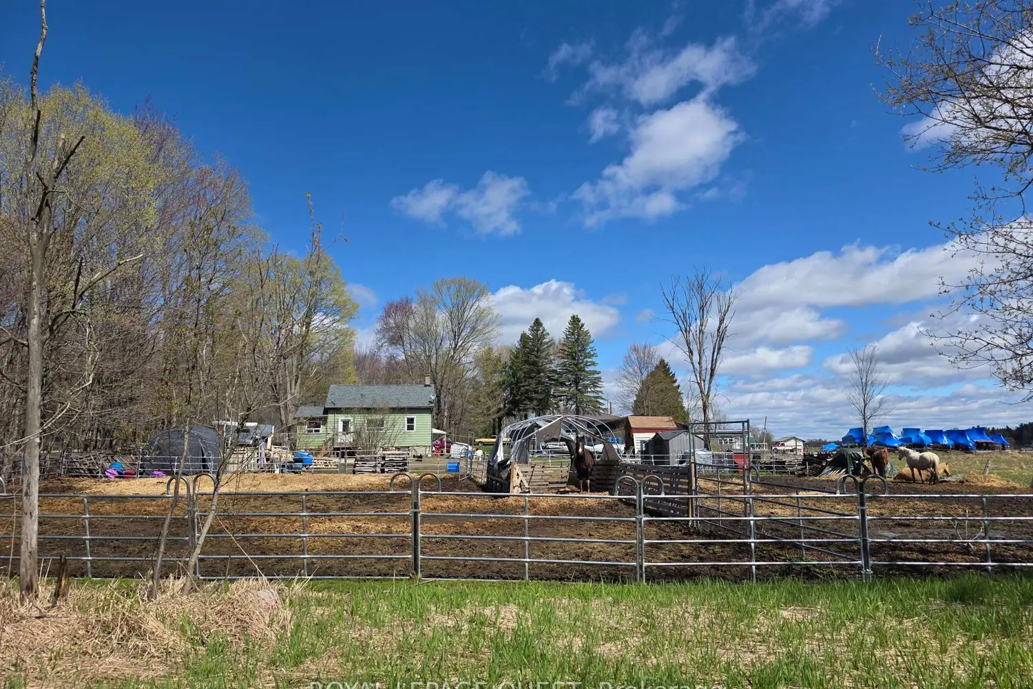 Additional image 5 of 1180 Canning Road