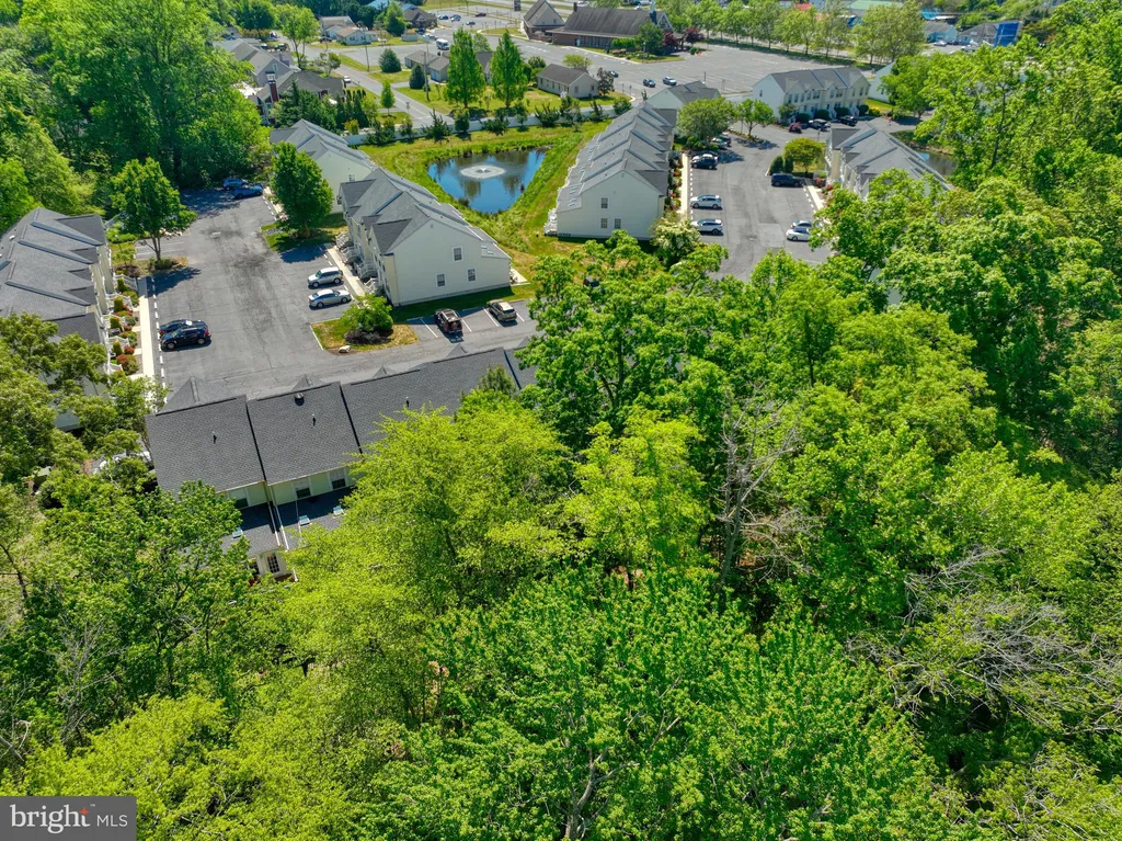 Additional image 66 of 17461 Taramino Place, Lewes, DE 19958