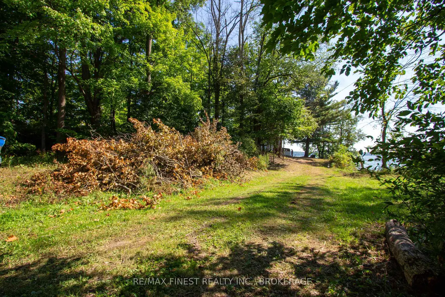 Additional image 20 of 4049 Hiawatha Lane