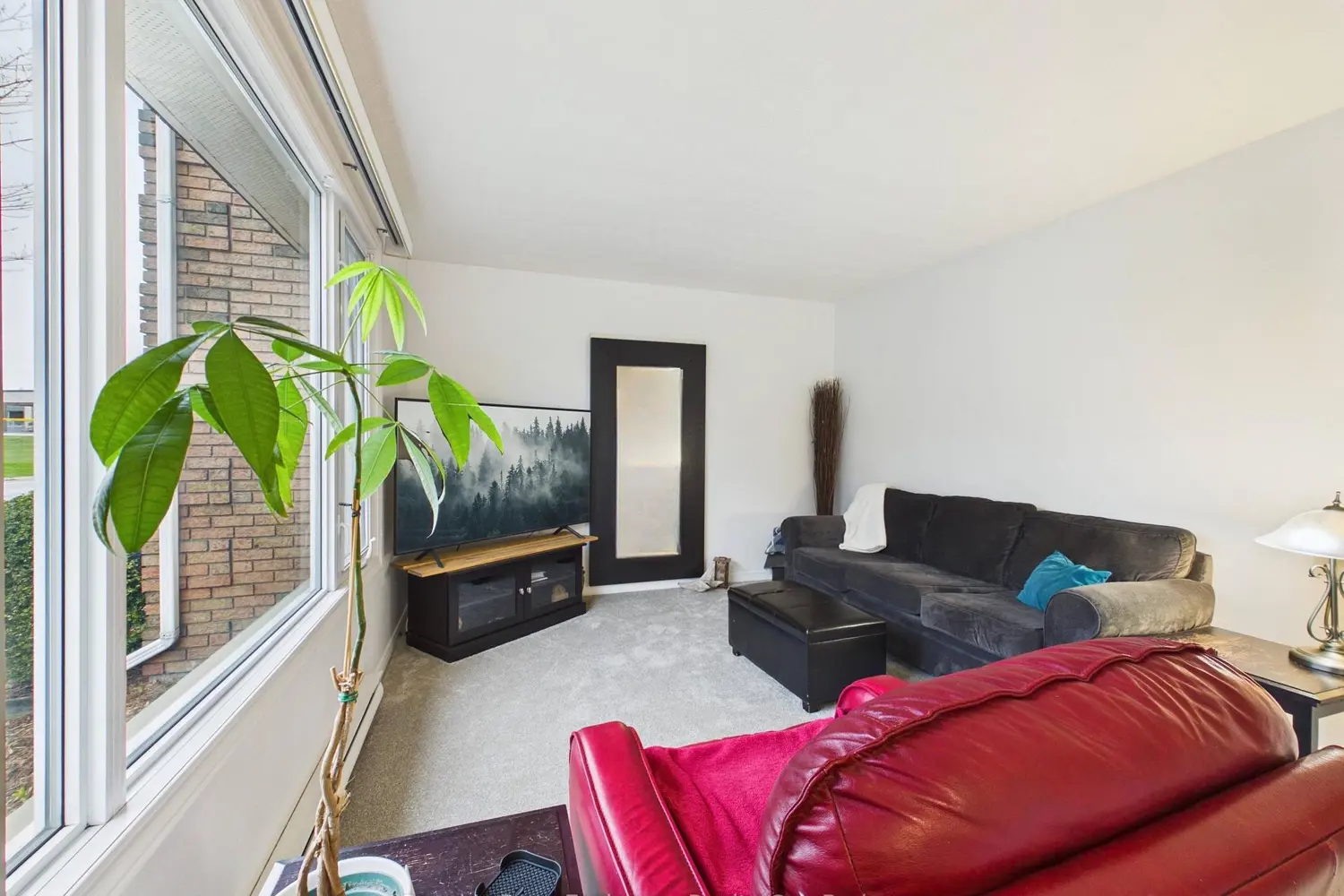 751 Walsh Street photo 4