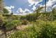 Additional image 9 of Dulverton