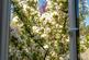 Additional image 24 of Cardale Escapes Ltd, Beckwithshaw, HG3