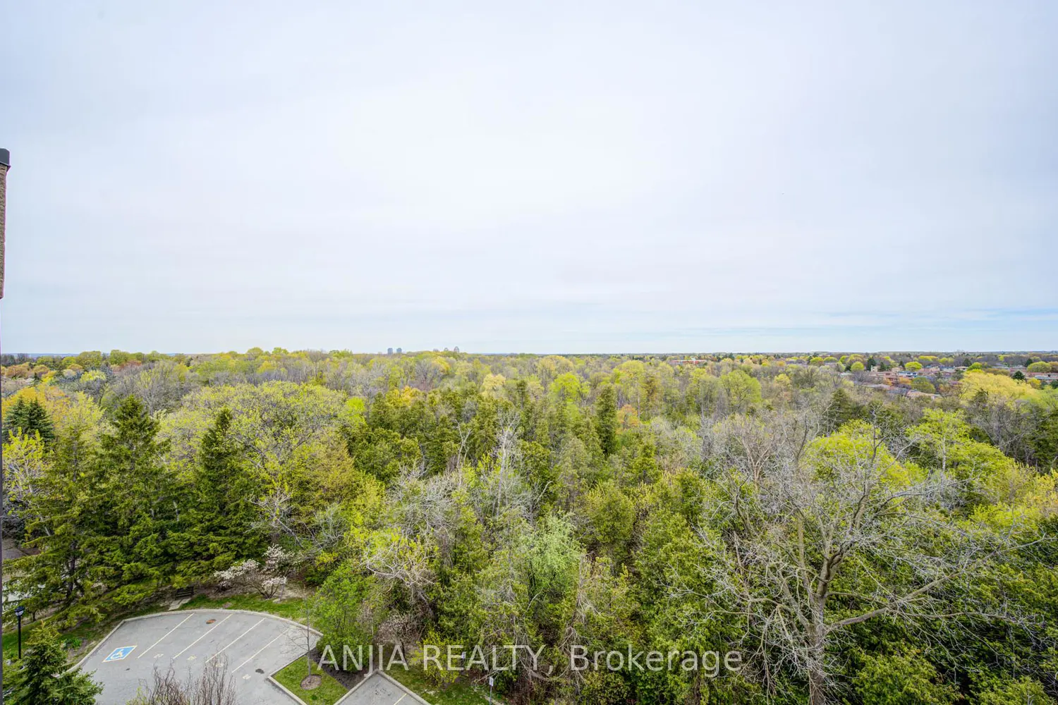 Additional image 17 of 2 Raymerville Drive 908