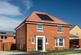 Winterton at David Wilson at Poppy Fields Moor Lane, Ravenfield, Rotherham S65