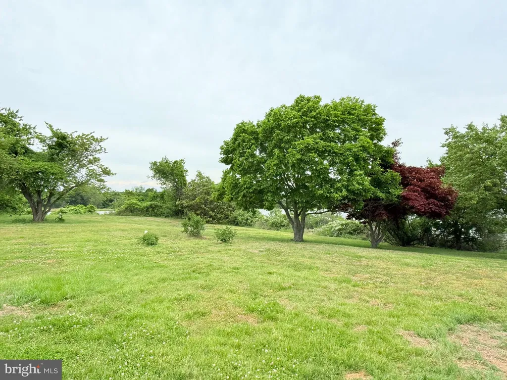 Additional image 45 of 48724 Curleys Road, Ridge, MD 20680