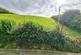 Additional image 13 of Launceston