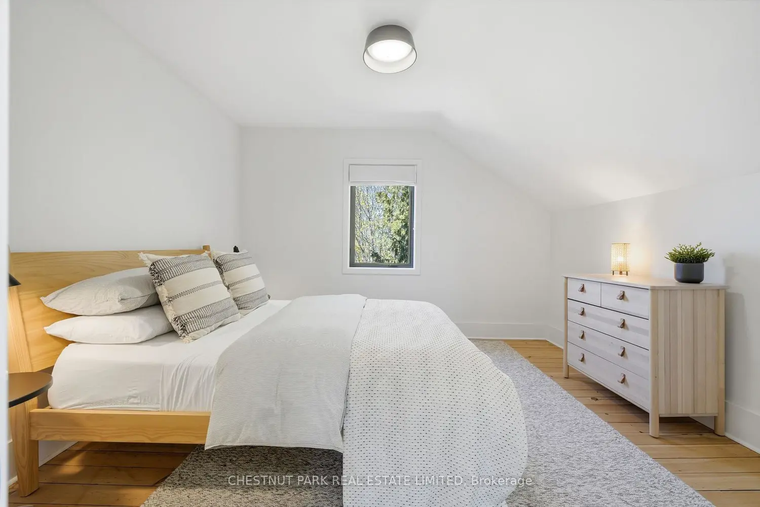 Additional image 11 of 335 Wellington Main Street